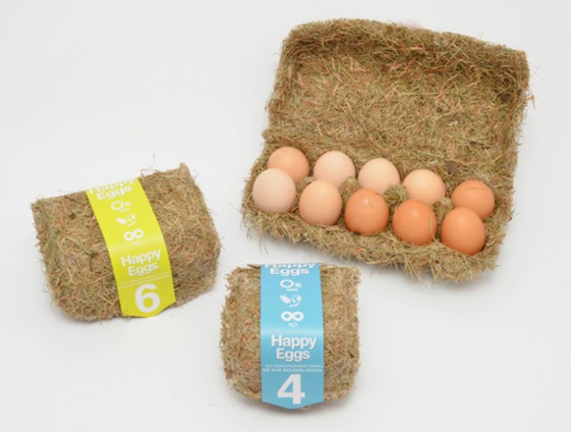 packaging design egg