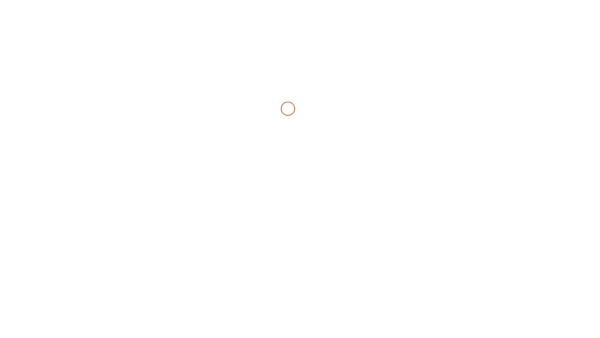 animation-logo-identité