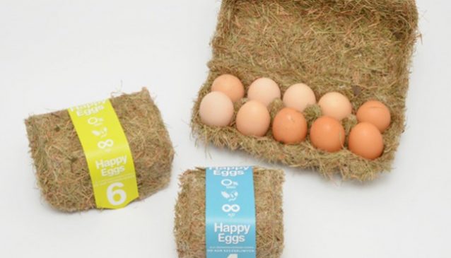 packaging design egg