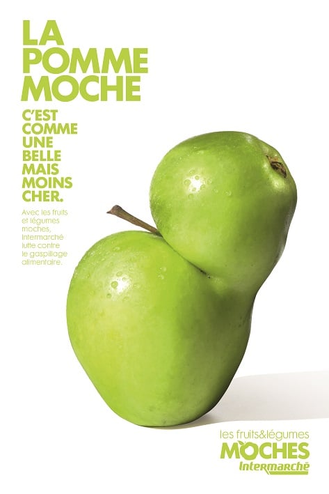 legume moche marcel agence